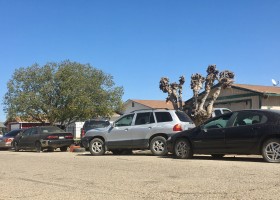 https://www.ivanfresno.org/images/reports/egJcsM1615506151.jpeg