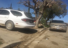 https://www.ivanfresno.org/images/reports/py1uon1615506207.jpeg